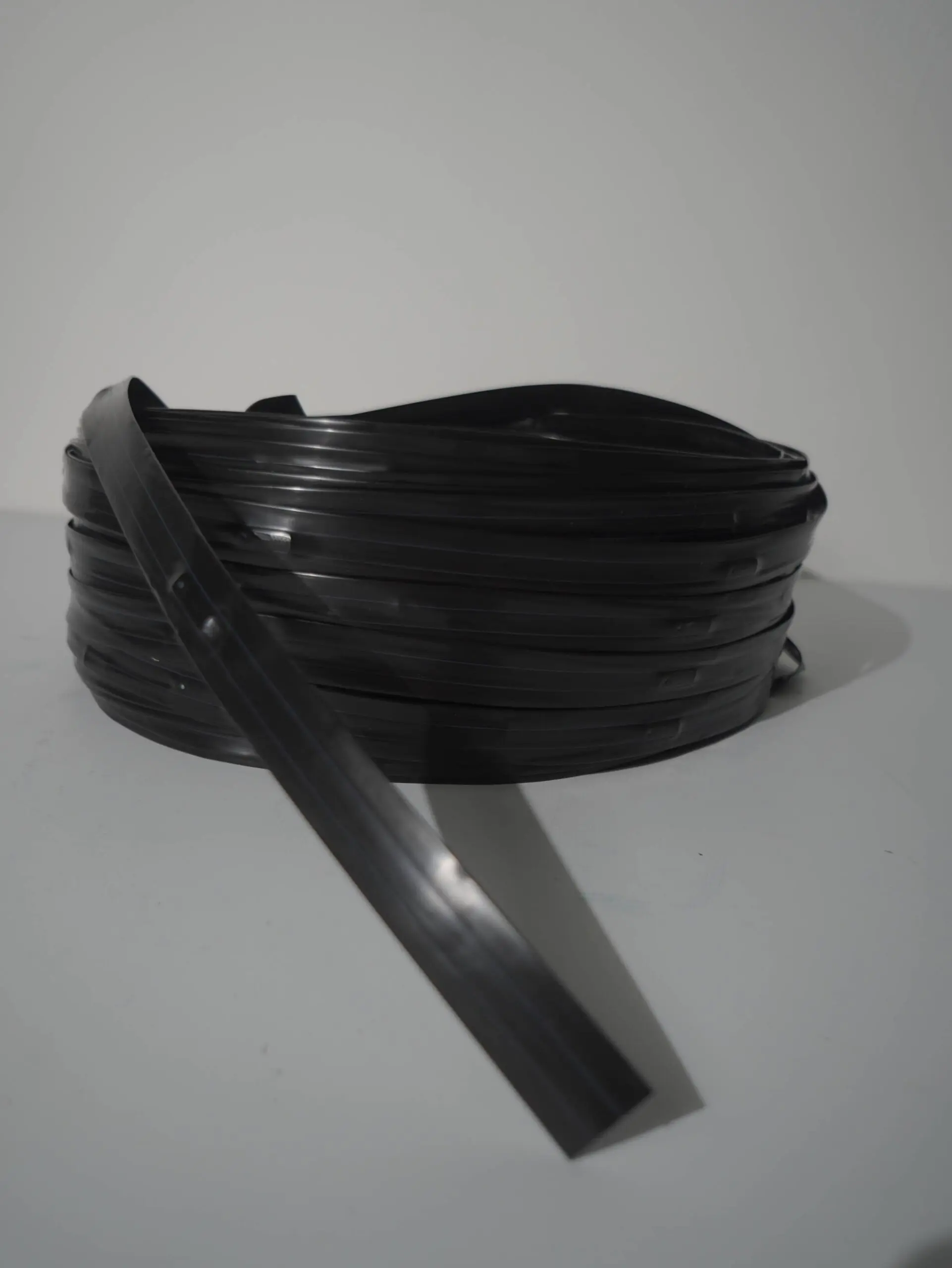 DSC06661-1.jpg CINTA GOTEO - Imagen 1